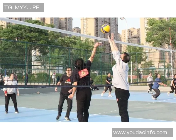 南京排球队个人能力提升之路与团队协作的完美结合