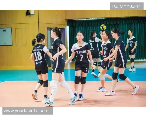 南京排球队在钻石联赛中的比赛经验与表现分析