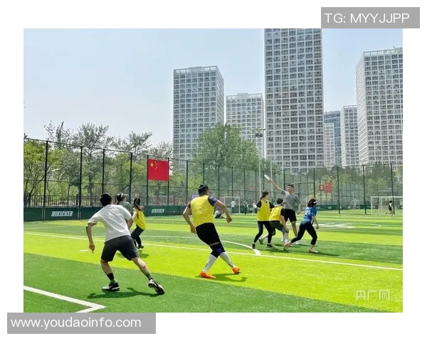 南京飞盘队荣登全国飞盘力量排行榜第三名展现强大实力与团队精神